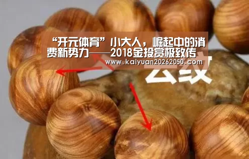 “开元体育”小大人,崛起中的消费新势力——2018金投赏极致传媒专场(图2) 开元体育