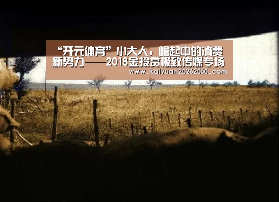 “开元体育”小大人,崛起中的消费新势力——2018金投赏极致传媒专场(图3) 开元电竞